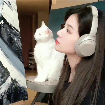 天坑鹰猎